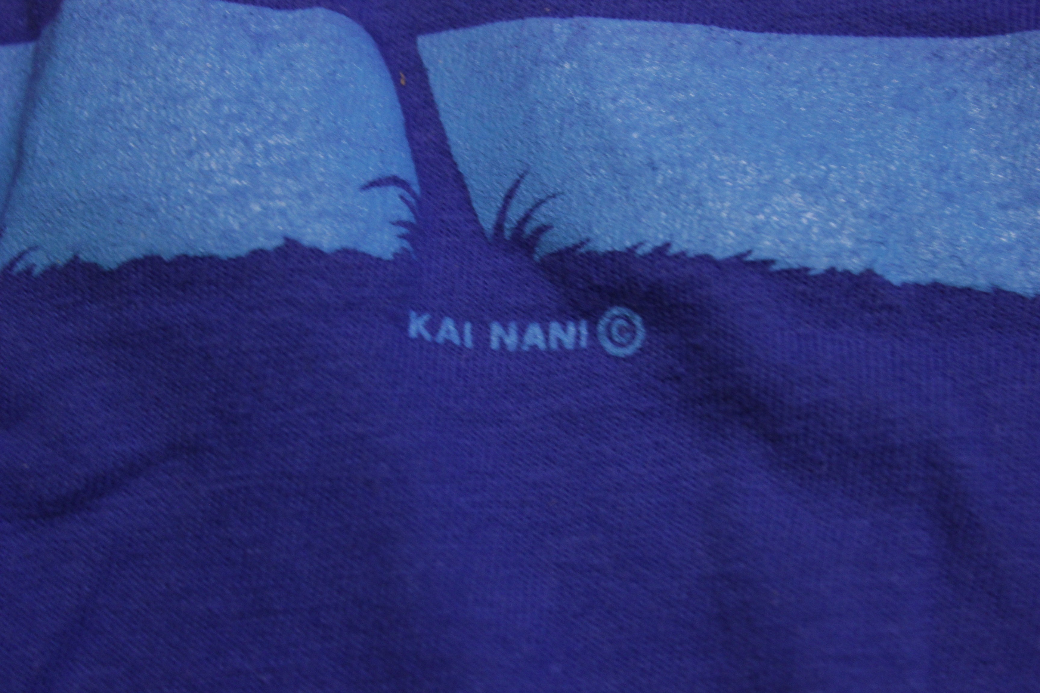 Hawaii Single Stitch Beach Sunset 80's Vintage T-shirt – The