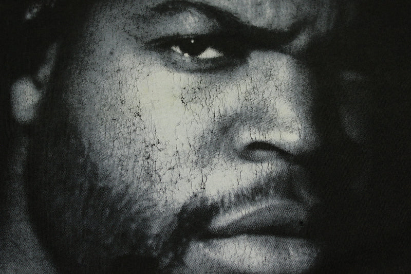 Ice Cube 1992 The Predator Rap Poster – NICEVintageCo.