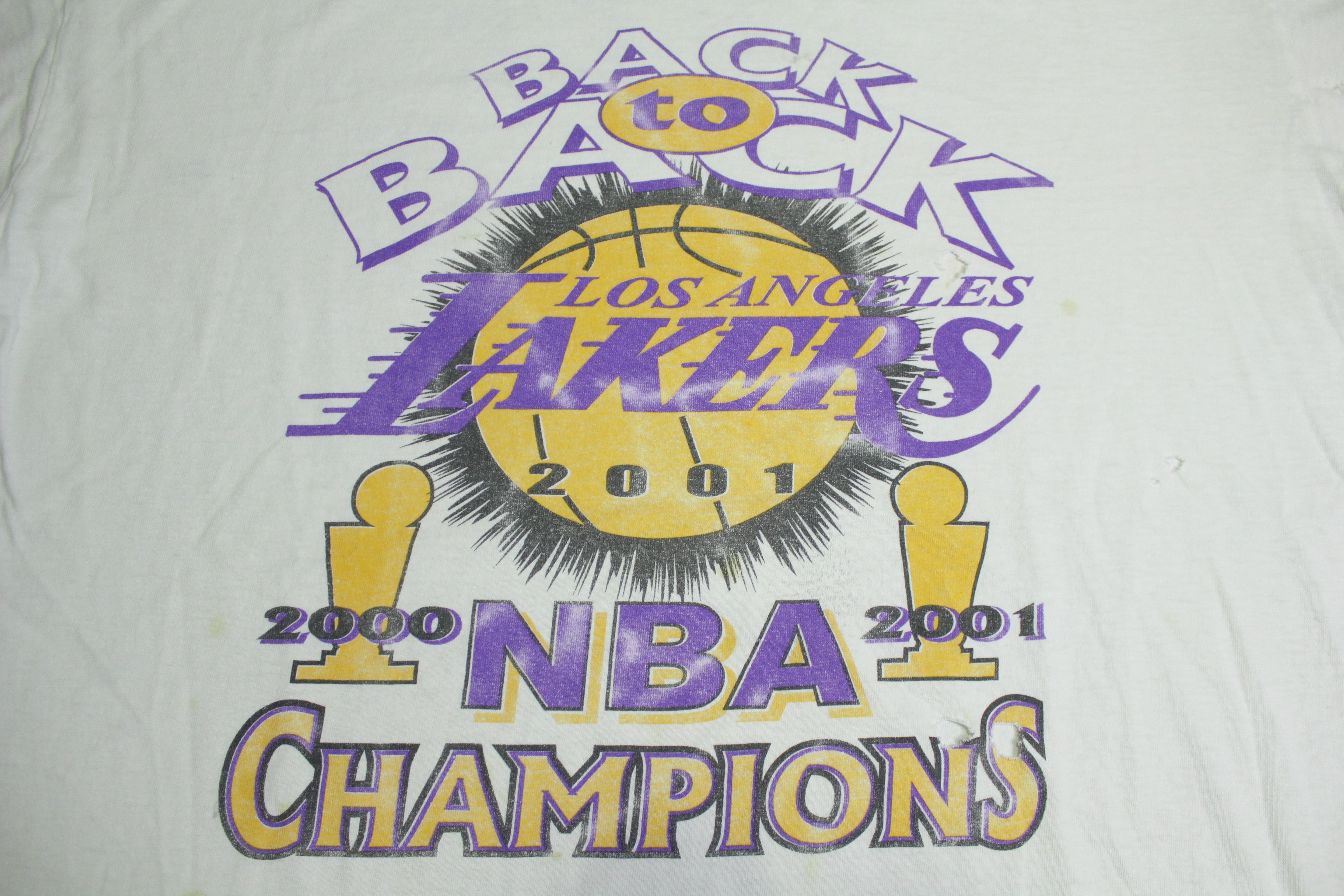 Vintage 2001 Las Angeles Lakers NBA Champions 2024 T-shirt