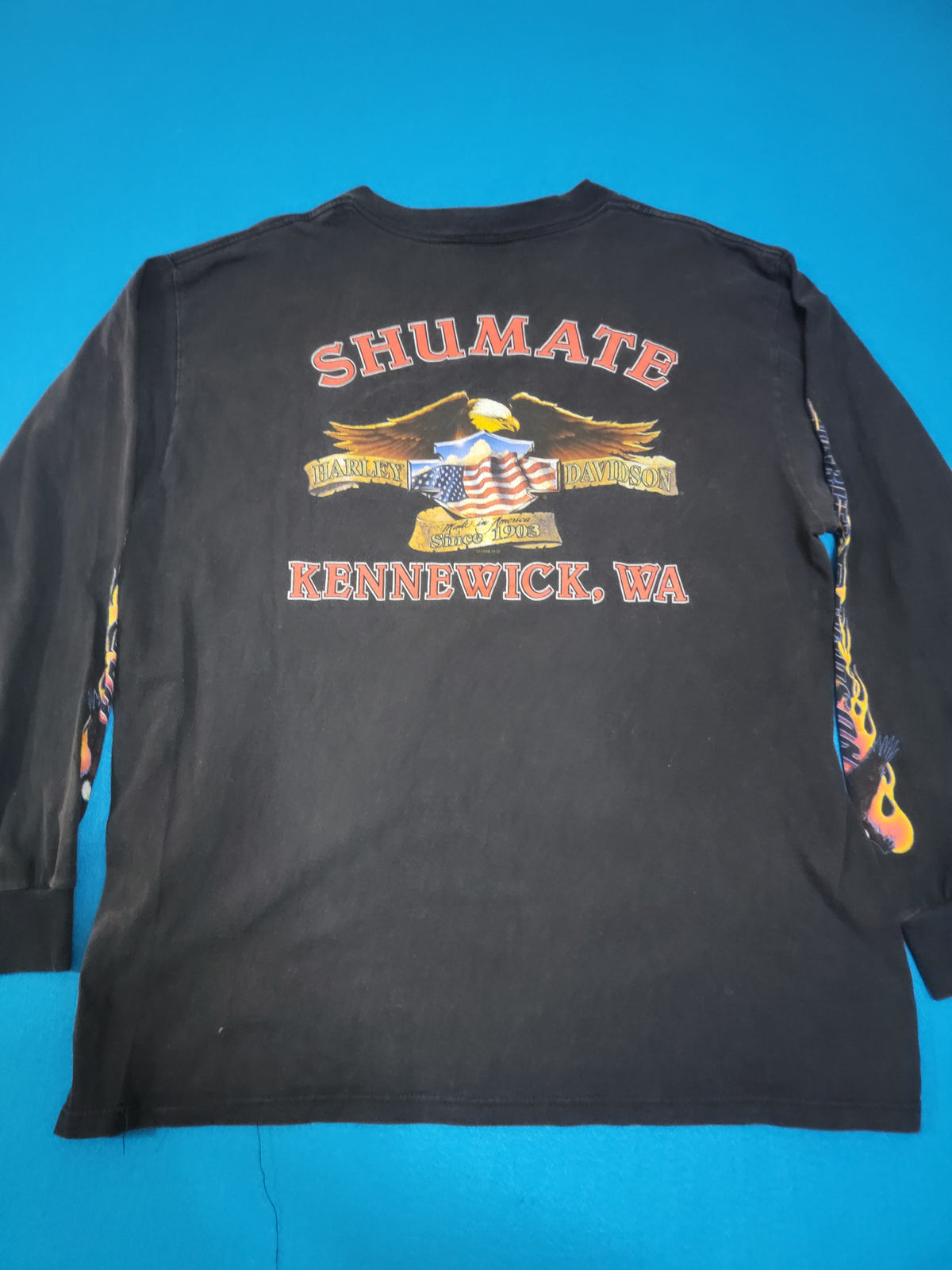 Harley Davidson Motorcycles HD Vintage 1999 Kennewick Shumate 90's Long Sleeve Flames T-Shirt