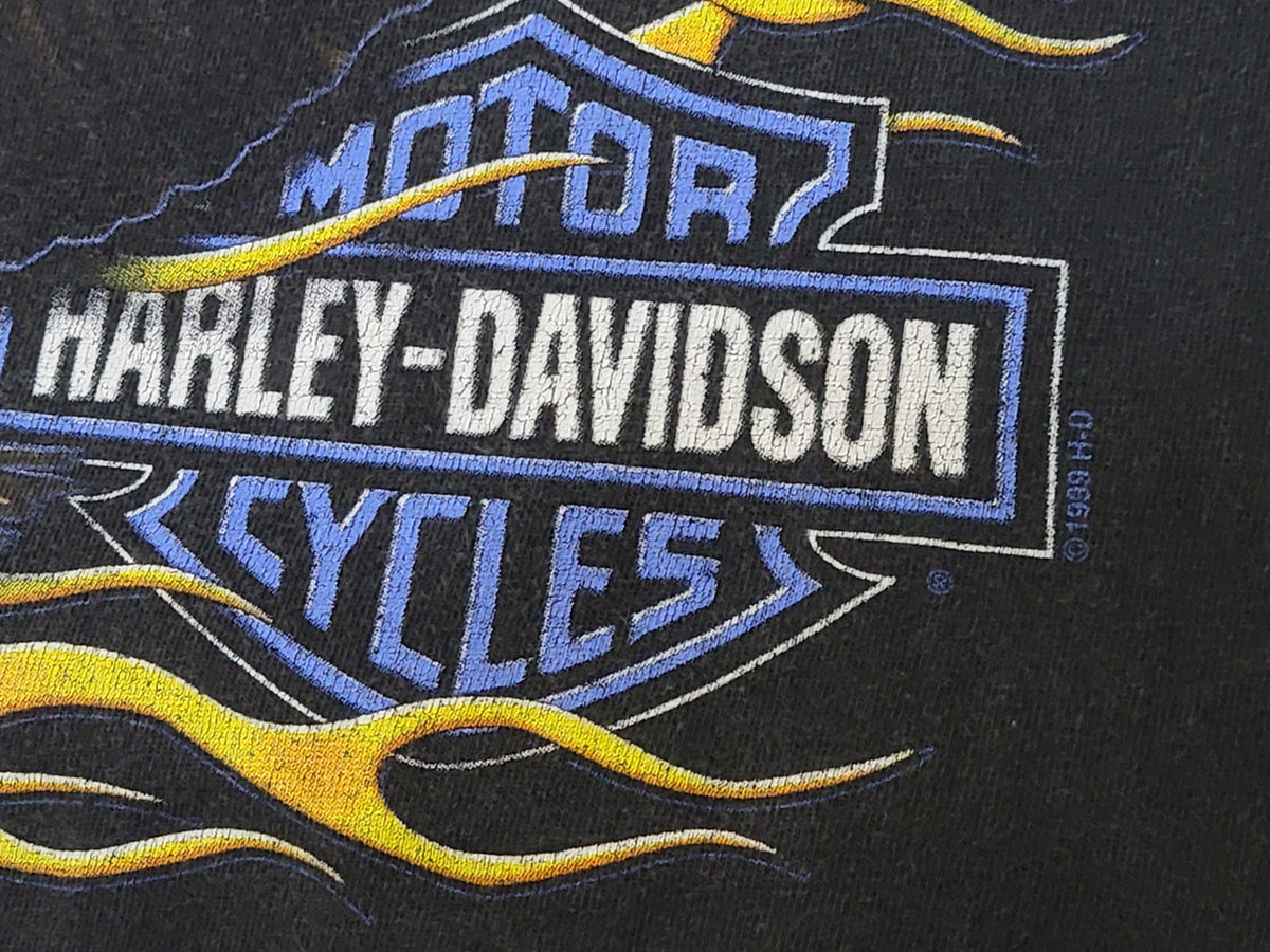 Harley Davidson Motorcycles HD Vintage 1999 Kennewick Shumate 90's Long Sleeve Flames T-Shirt