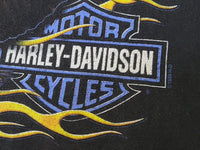Harley Davidson Motorcycles HD Vintage 1999 Kennewick Shumate 90's Long Sleeve Flames T-Shirt