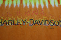 Harley Davidson Flames Long Sleeve USA 2006 Pikes Peak T-Shirt