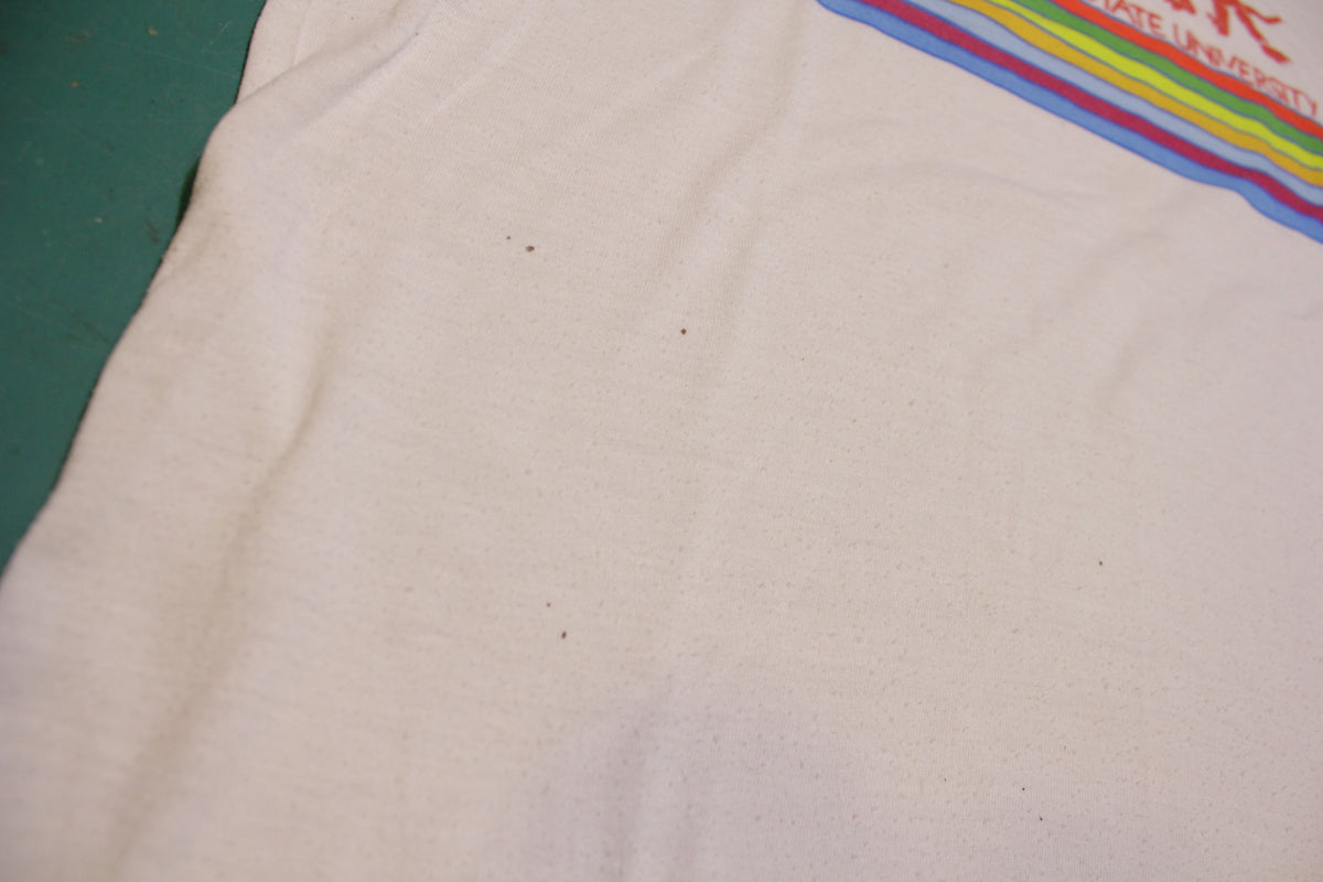 Washington State University Striped Vintage 80's Single Stitch USA College T-Shirt