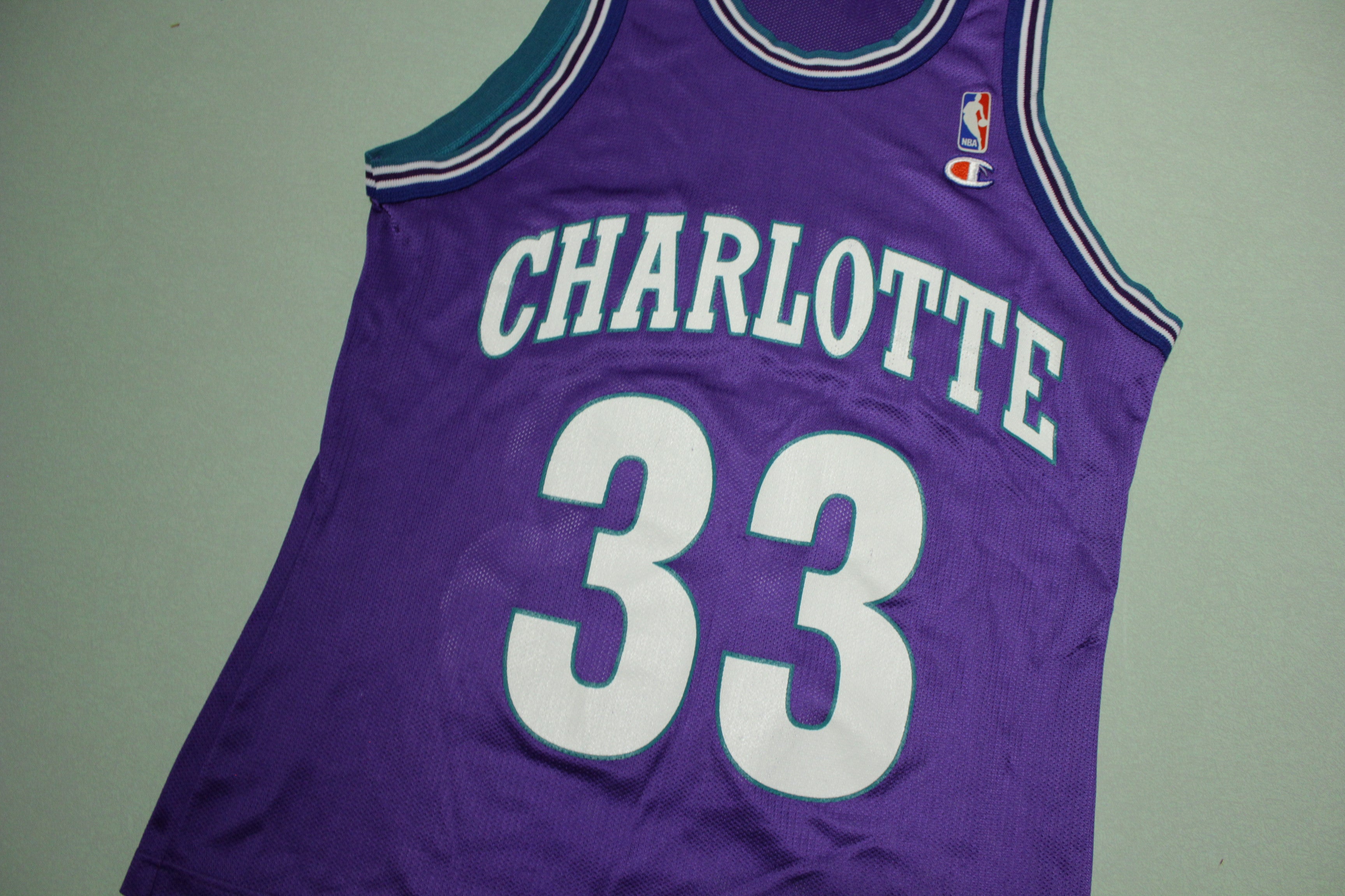 Vintage champion selling Charlotte 33 jersey