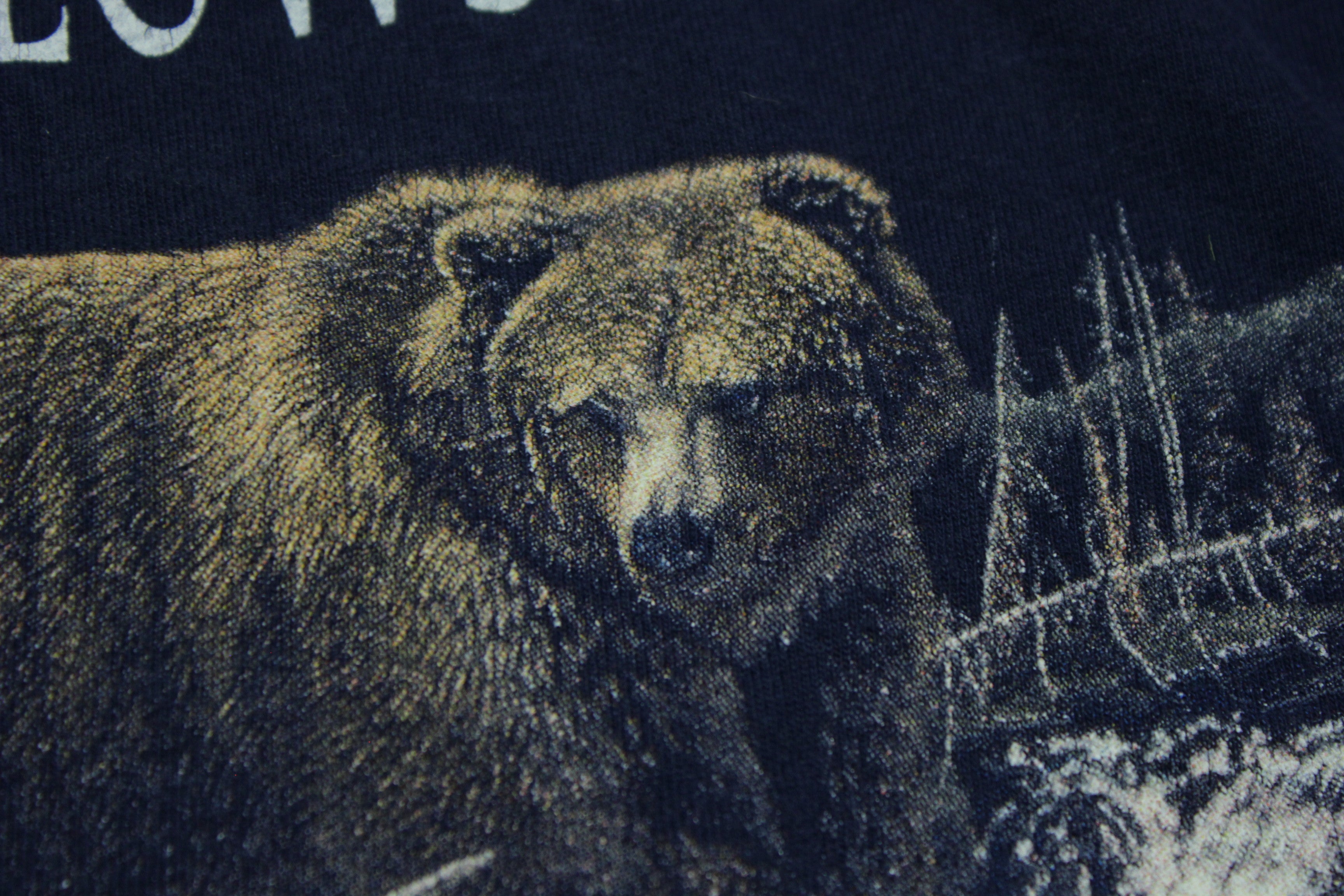 T shirt best sale grizzly bear