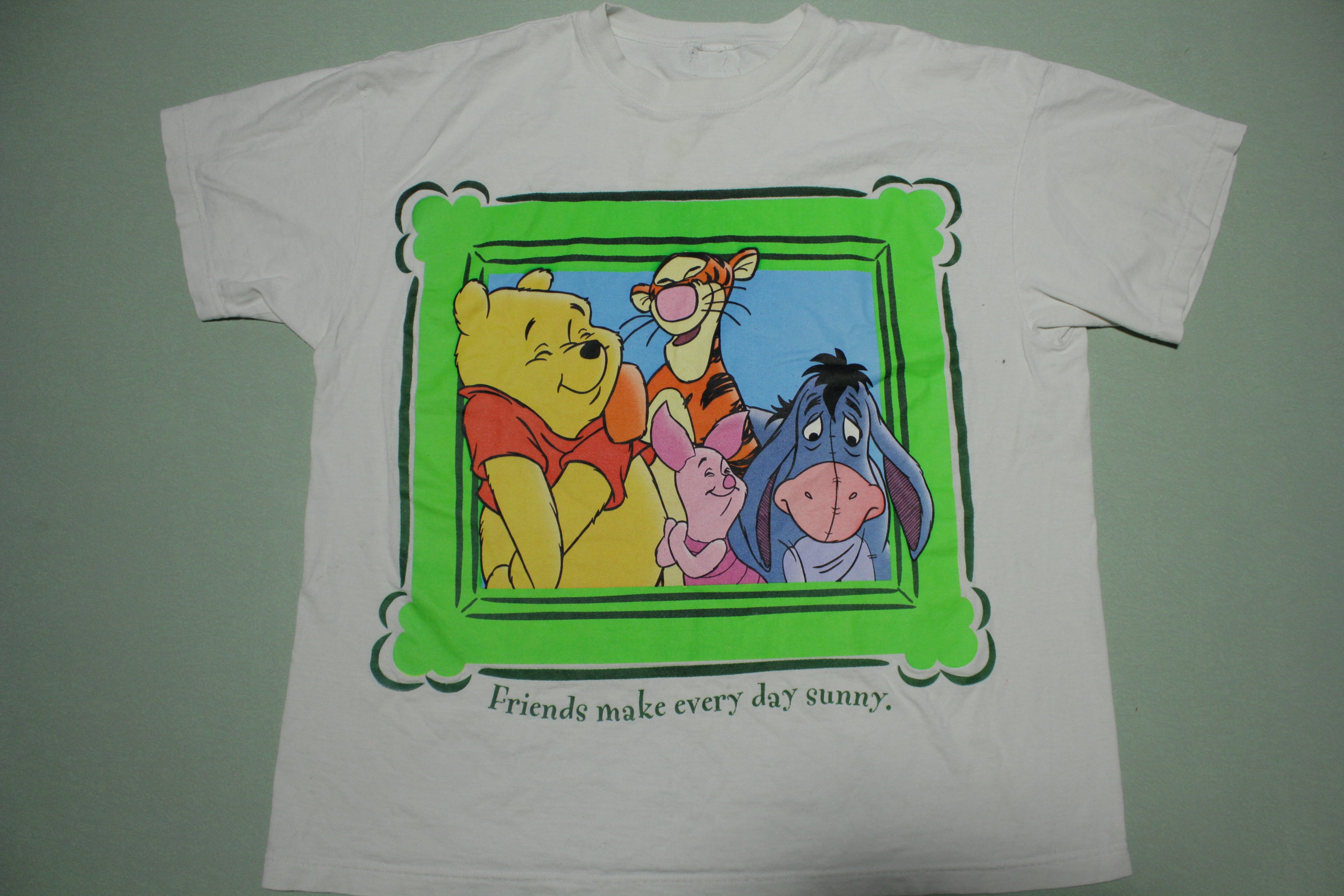 Pooh Tigger Eeyore Vintage 90s Group Picture Movie Friends Sunny