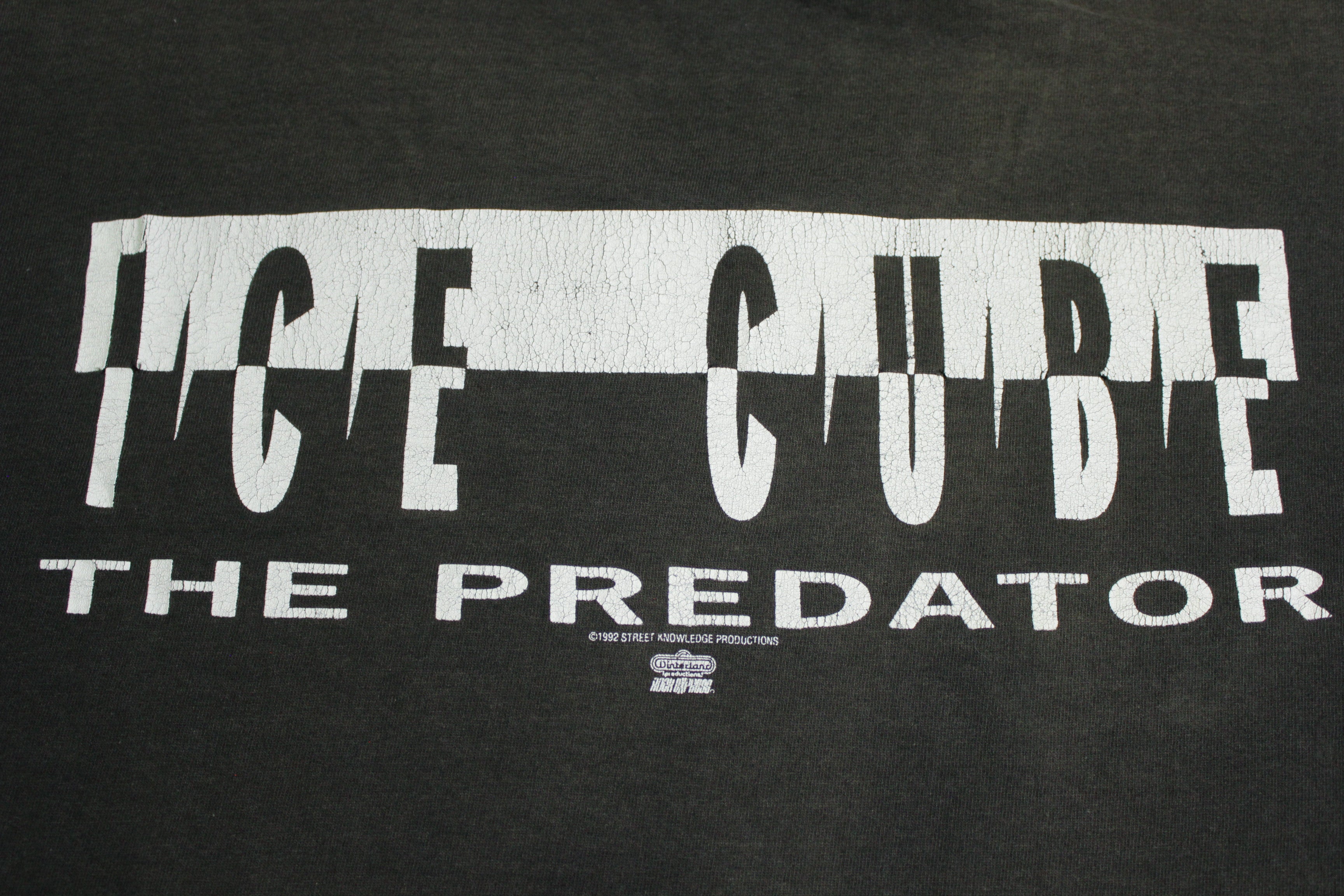 Ice Cube The Predator 1992 Winterland Rock Express Vintage 90's ...