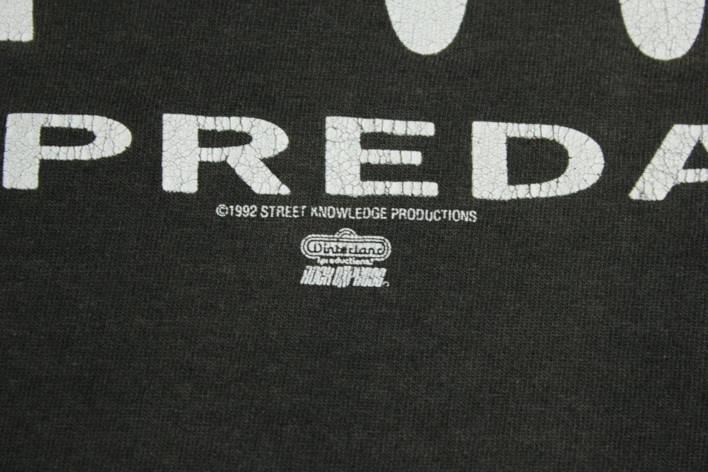 Vintage Ice Cube The Predator T-Shirt
